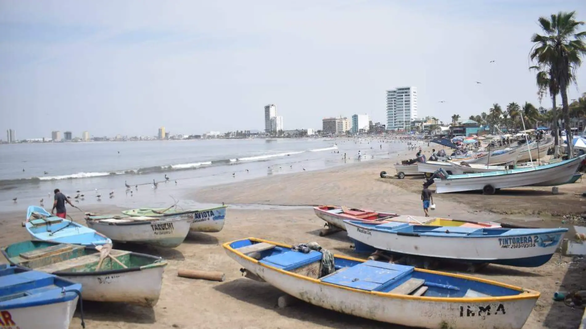 pescadores artesanales de Mazatlán1